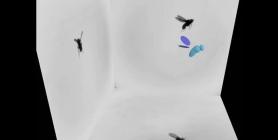 Drag induced forward propulsion in insect flight